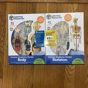 Learning Resources Anatomy Models Bundle Set Brain Body Heart Skeleton Kit
